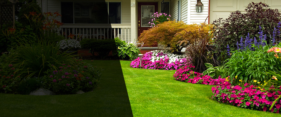 Dexter Landscapers