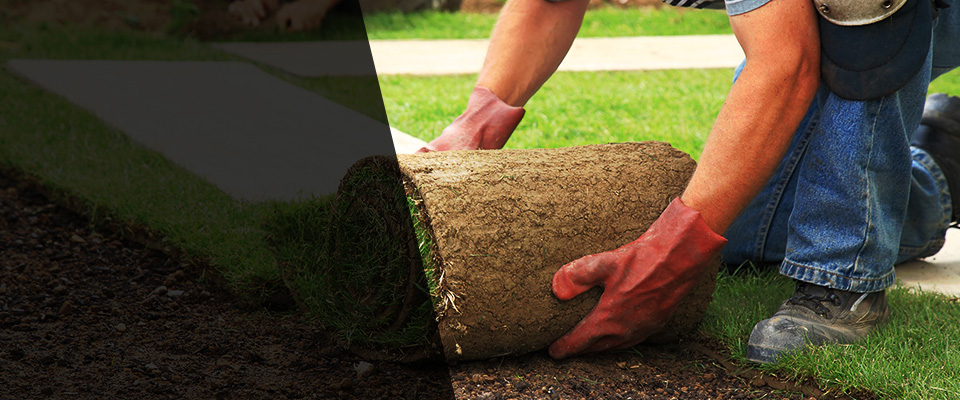 Dexter Landscapers